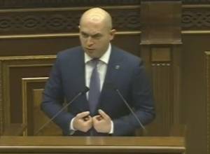 «Если не можете помочь, не мешайте»: Ашотян – ИСХОД-у