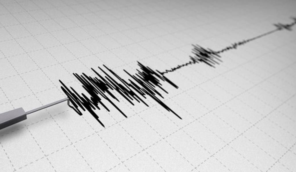 590_Earthquake_Seismograph_Line_Looping-2_Styles