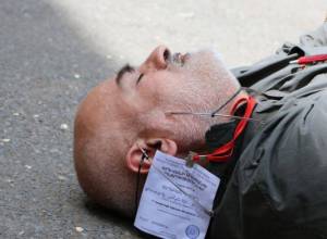 КС принял решение по делу Вардгеса Гаспари