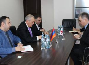 Обсуждался вопрос пользования необходимой медицинской помощью гражданами РА в Грузии