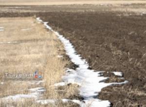 Lack of snow to have affect on harvest