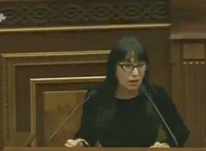 Закон на первый взгляд позитивен, однако восприятие иное: Н. Зограбян