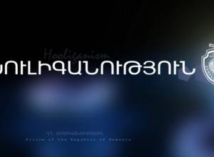 Женщина, разыскиваемая по обвинению в хулиганстве, явилась в полицию