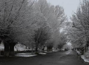 Snowfall and fog