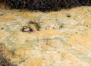 Тревожный звонок: из завода в реку Ахтала вытекает серная кислота: видеоматериал