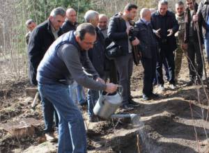 Սոցիալ-տնտեսական ծրագրեր՝ անտառների վրա ճնշումը թուլացնելու նպատակով