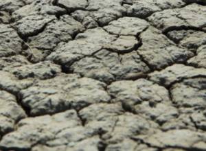 «Հզորներն» ու գյուղացիները