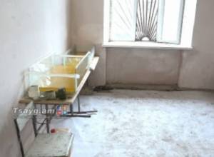 Տեսողական խնդիներով անձինք բնական ներկեր կարտադրեն