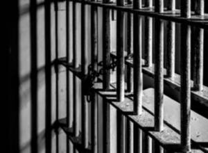 Аркадий Папян прекратил голодовку