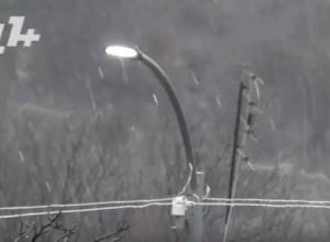 Փողոցային լուսավորությունը կզսպի արջերին ու գայլերին