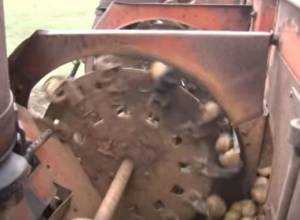 Посев начался, но удобрение запаздывает