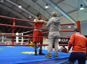 3 Armenian boxers to compete for title of European Champion