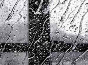 Precipitation expected, in some parts of the country  snowstorm and fog also expected