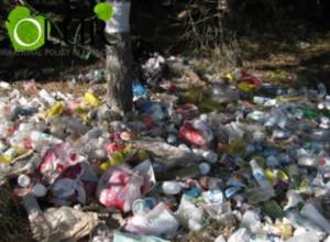 Ալավերդիում լուծումը գտել են. կնկարեն  եւ կտուգանեն