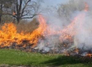 Около села Арегуни горит покрытая лесом территория