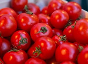 ՍԱՊԾ-ն պարզաբանել է  ՀՀ-ից ներկրվող լոլիկի մասին՝ Ռոսսելխոզնադզորի հրապարակումը