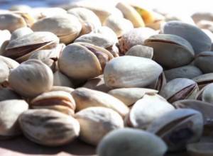 Արմավիրի մարզում իրանական ներդրումներով կհիմնվեն պիստակի ինտենսիվ այգիներ