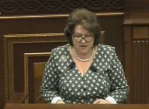 «Мы – не сторонники саботажа или реванша, лично я проголосую против»