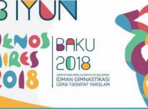 Armenian gymnasts to not be in Youth Olympic Games
