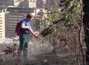 Հրդեհ «Հաղթանակ» զբոսայգու հարևանությամբ