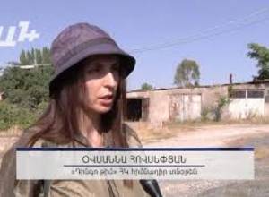 «Հայաստանում կենդանիների անպաշտպանությունը բերում է դաժանության անպատժելիությանը».կենդանապաշտպան