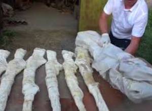 Հովիկ Աբրահամյանի գործարարանում հայտնաբերվել է զենք և ռազմամթերք, ձերբակալվել է նրա եղբայրը