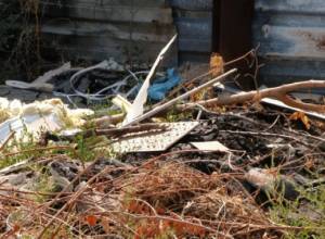 Stinky ruins with rats, snakes, and scorpions under nose of residents