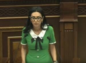 Объясните термин “принятия обещания” и я проголосую за: Арпине Ованнисян