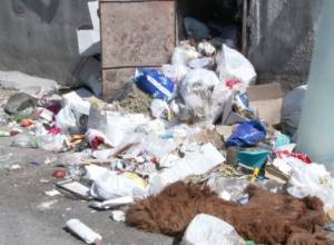 Как за один день очистить Армению от мусора?