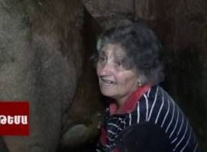 ԹԵՄԱ. Գյուղ պահող կանայք. Ով կարող է օգնել նրանց