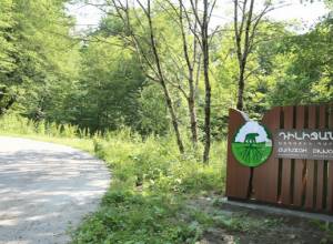 «Դիլիջան» ազգային պարկն այցելուներին  կներկայանա նոր տեսքով ու հարմարություններով