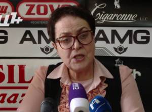 Larisa Alaverdyan: We have remained in the same model when there is a dominant political force