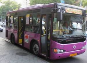 256 citizens receive free pass certificates