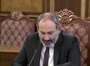 Կենդանաբանական այգու զեբրին թունավորել են մկնդեղով. նա սատկել է
