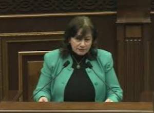 Ինչպե՞ս խրախուսել աշխատանքը, երբ գյուղում երիտասարդություն չկա. Ռուզան Առաքելյանի հարցադրումը