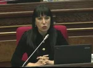 Մարուքյանի նախագիծն էլ չանցավ
