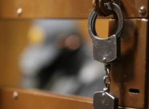 Число освобожденных по амнистии по положению на 19-е ноября