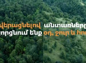 Video about illegal tree logging in Armenia