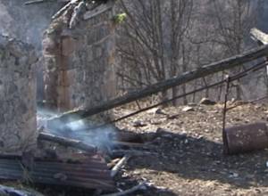 Сгорел хлев, погибло 10 голов крупного рогатого скота и 1 осел