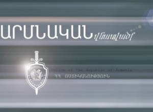 По подозрению в нанесении телесных повреждений задержана 22-летняя девушка