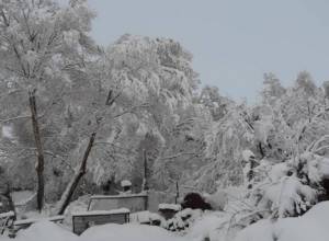 В Амасии высота снежного покрова достигает 30 см: Гагик Суренян