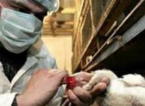 Грипп и острые респираторные инфекции в РА: распространен вид H1N1