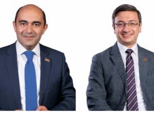 Decision made during "Light Armenia" party's first session