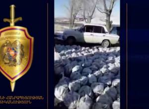 Из озера Севан извлекли рыболовные сети