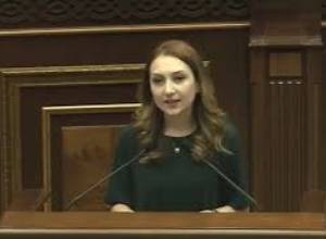 Մենք չենք հանդիսանում խնդիրների պատճառ. Լիլիթ Մակունց