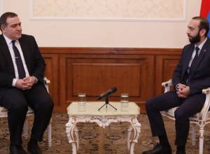 Georgian Ambassador in National Assembly