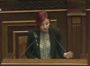 Խնդրում եմ մուննաթ չգալ ընդդիմության վրա. Անի Սամսոնյանը՝ վարչապետին