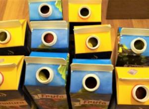 Коньяк в тарах природного сока