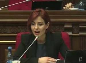 Շան գլուխը թաղված է ԲՈՒՀ-երի դաշտում. Անի Սամսոնյան