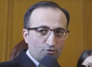 Վերցնողն ով էլ լինի, պետք է պատժվի. Արսեն Թորոսյան